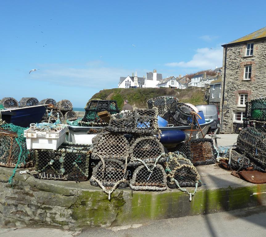 The White Cottage B&B Saint Teath Exteriér fotografie